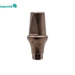 MegaGen Any Ridge Abutment