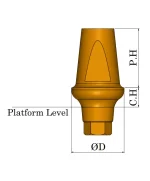 MegaGen Any Ridge Abutment
