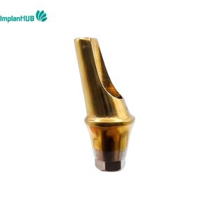 Megagen Any One Angled Abutment