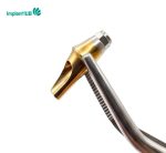 Megagen Any One Angled Abutment