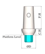 اباتمنت مستقیم SIC