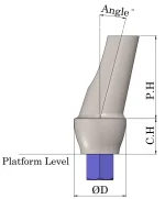 Sic Angled abutment