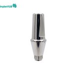 Snucone Abutment