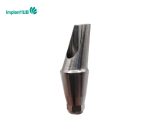 Snucone Angeld Abutment