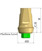 biohorizons Abutment