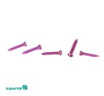 Cortical Screw
