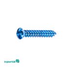 Cortical Screw