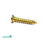 Fixation Screw