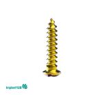 Fixation Screw