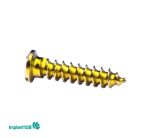 Fixation Screw