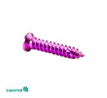 Fixation Screw