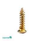 Fixation Screw