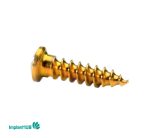 Fixation Screw