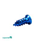 Fixation Screw