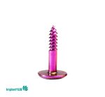 Tent Screw