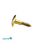 Tent Screw