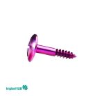 Tent Screw
