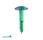 Tent Screw