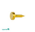 membrane pin